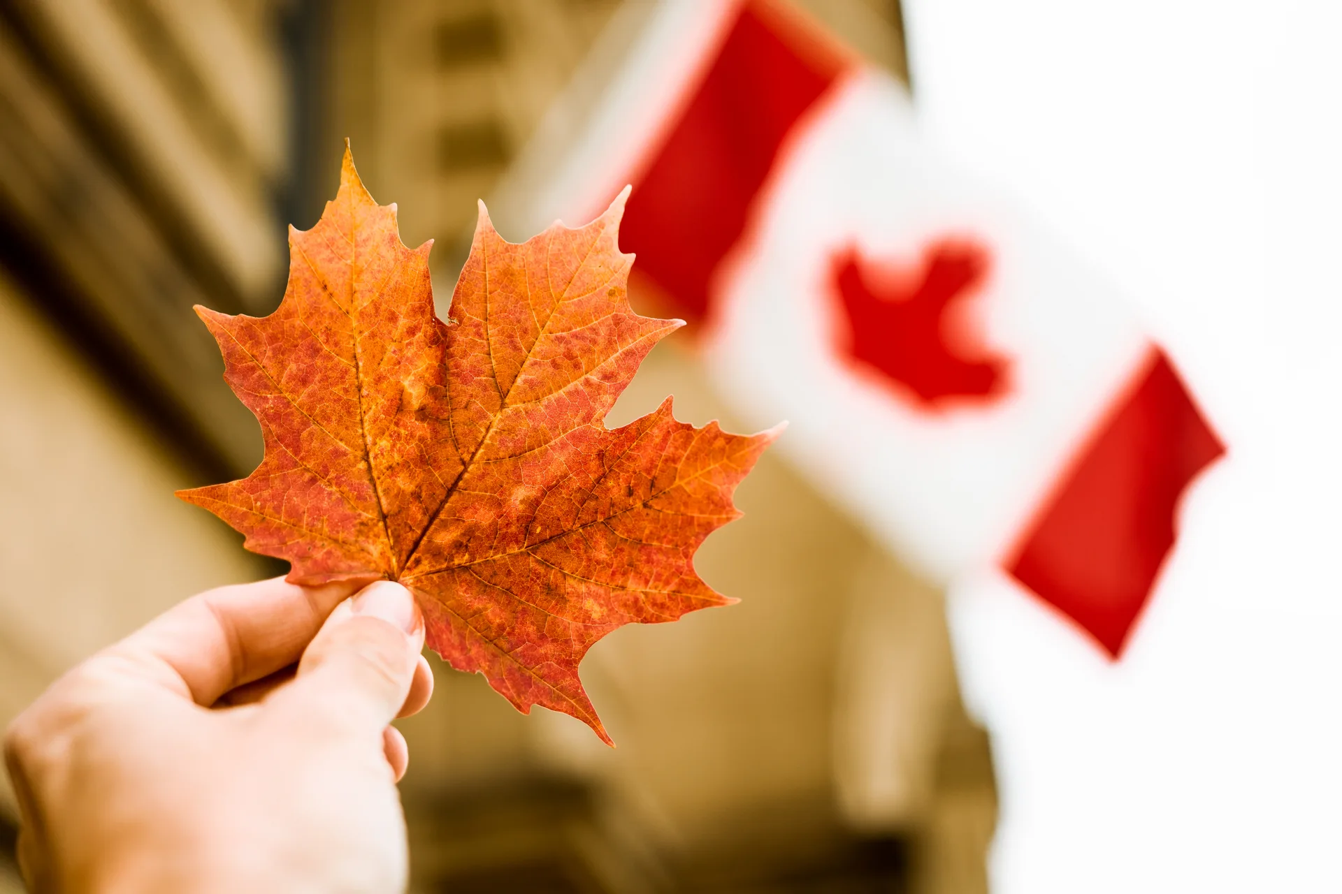 Hand holding an orange maple leaf in front of a Canadian flag
