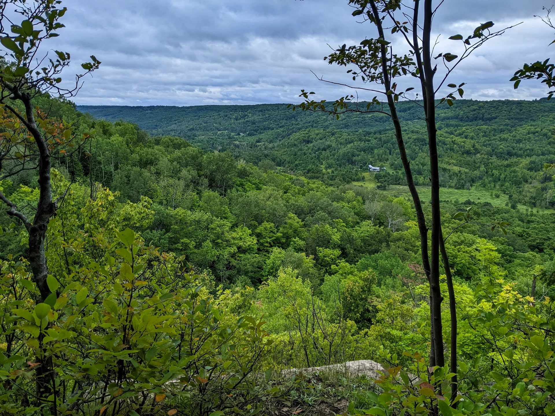 Bruce Trail Blue Mountain Section: A Comprehensive Hiking Guide