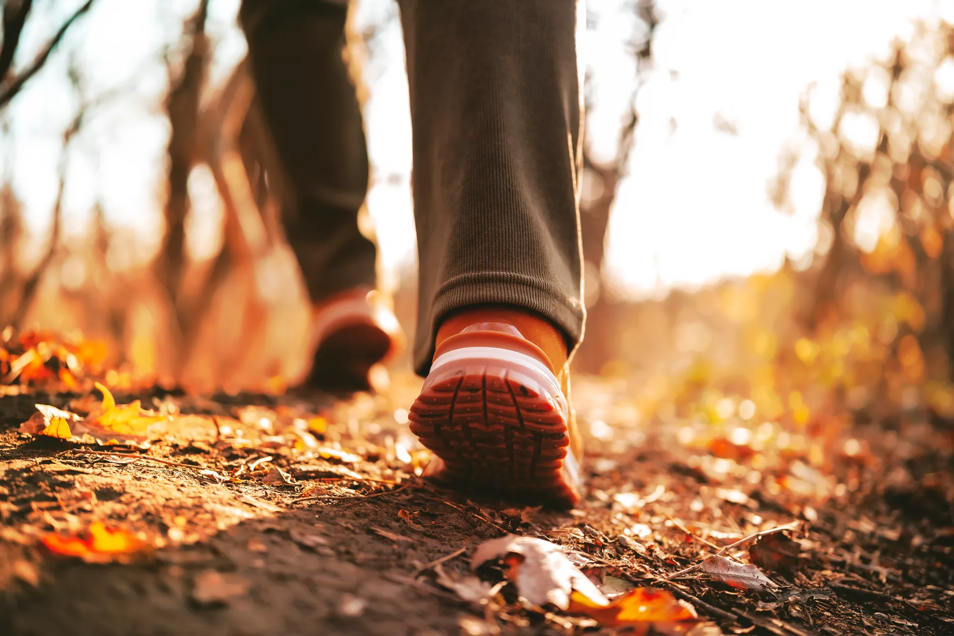 Close-up of a walker's running shoes on a forest path covered in fallen autumn leaves