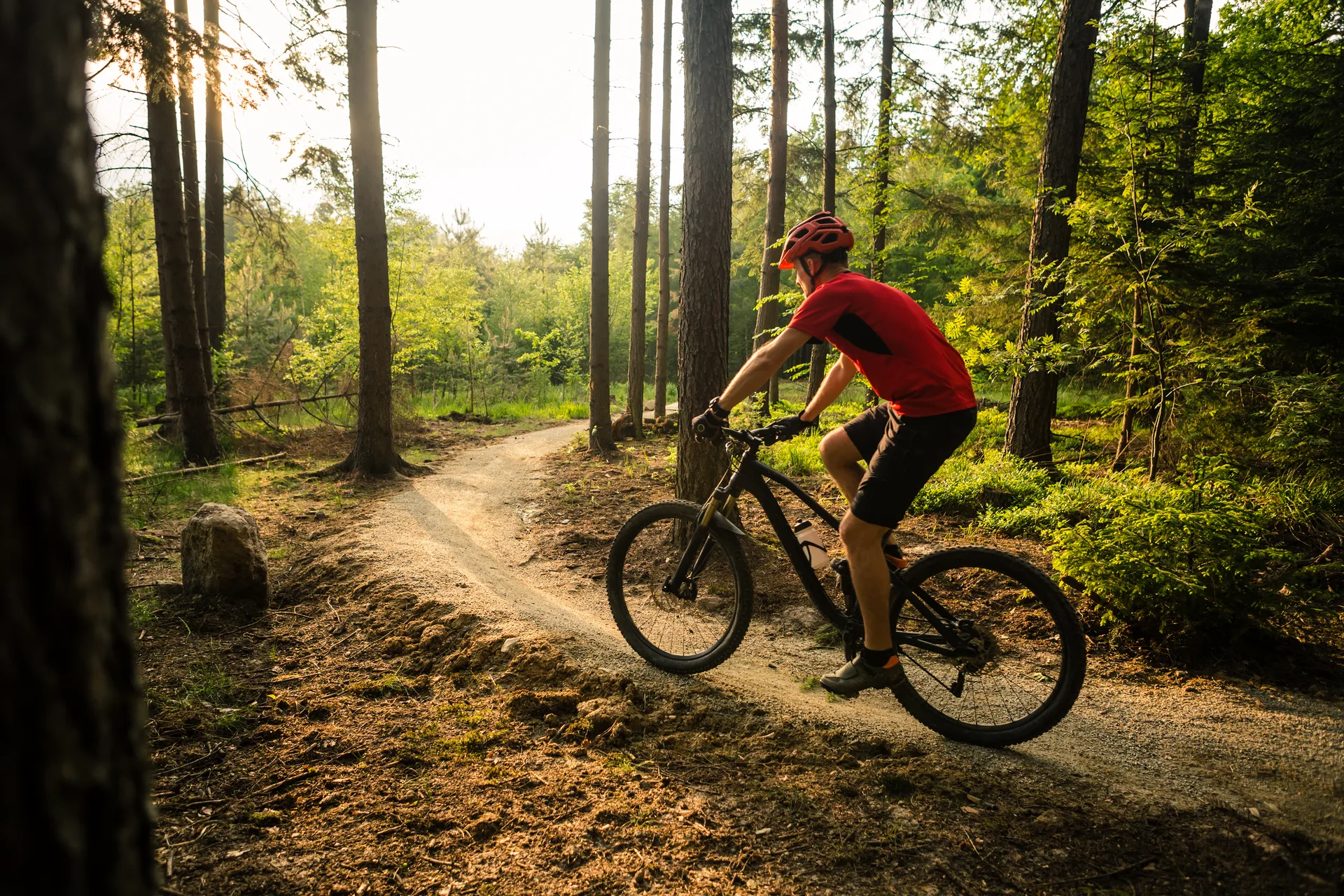 Cyclist riding a winding dirt trail through sunlit forest