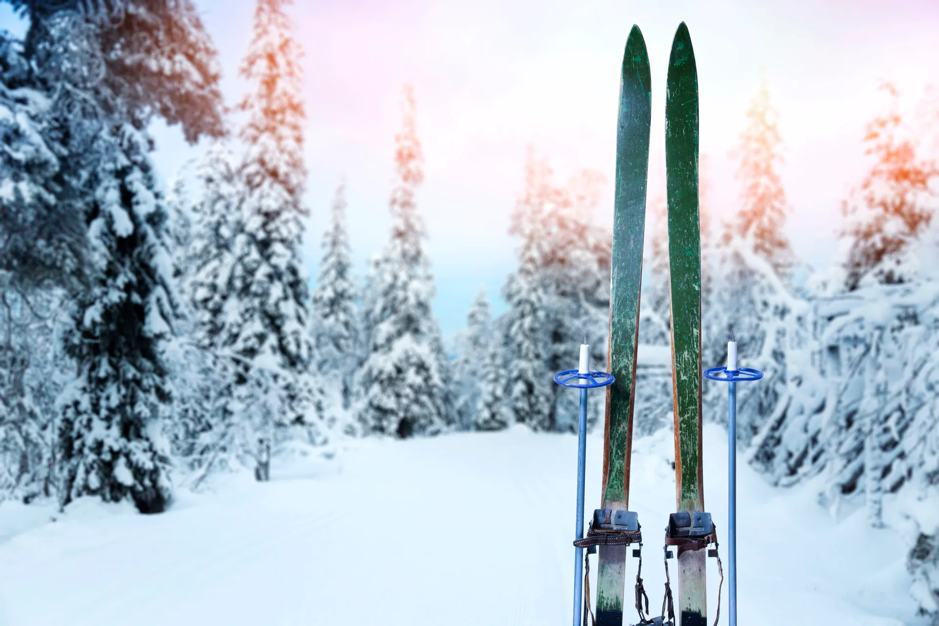 Vintage wooden skis and poles standing on a snowy cross-country trail