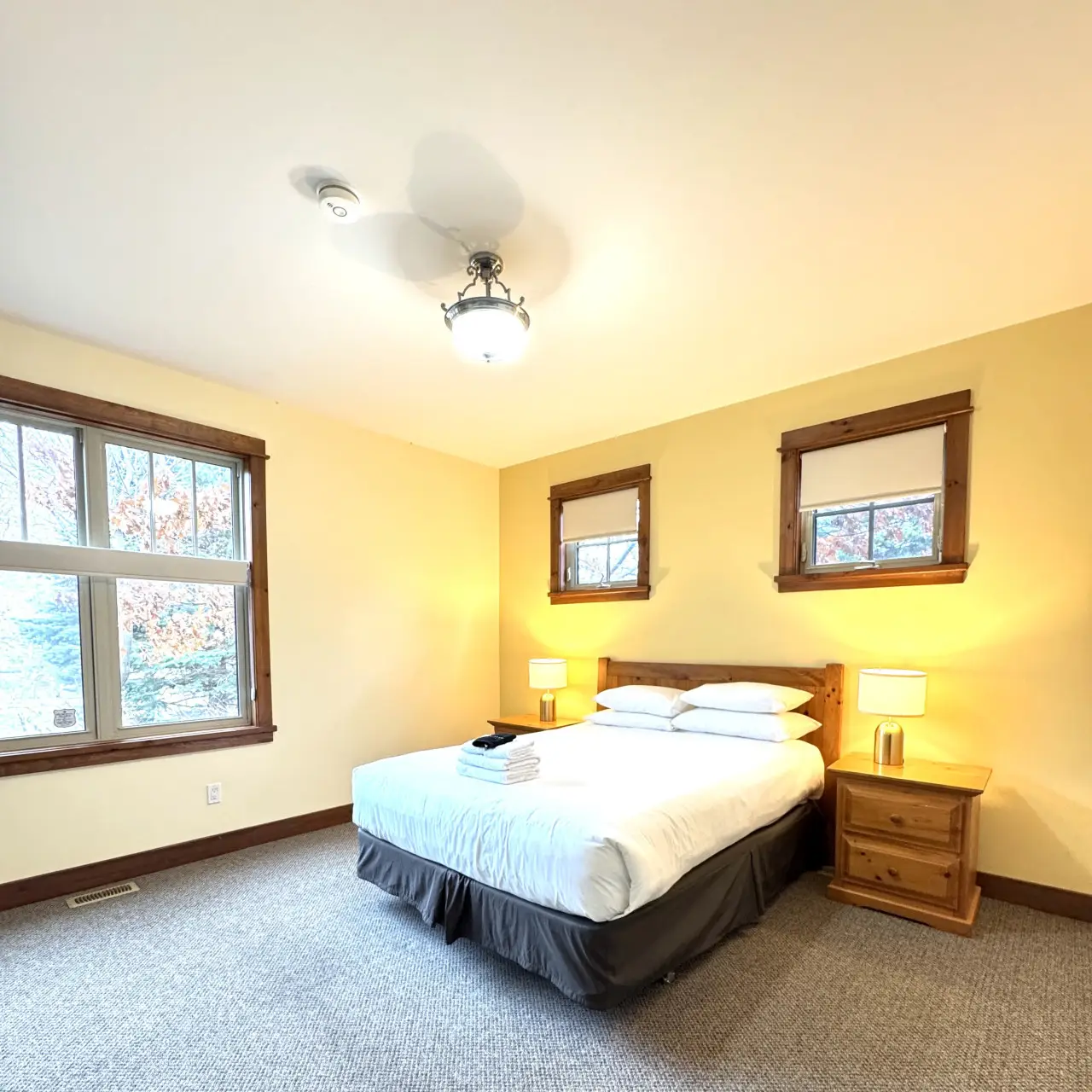 The Aurora - Image 15