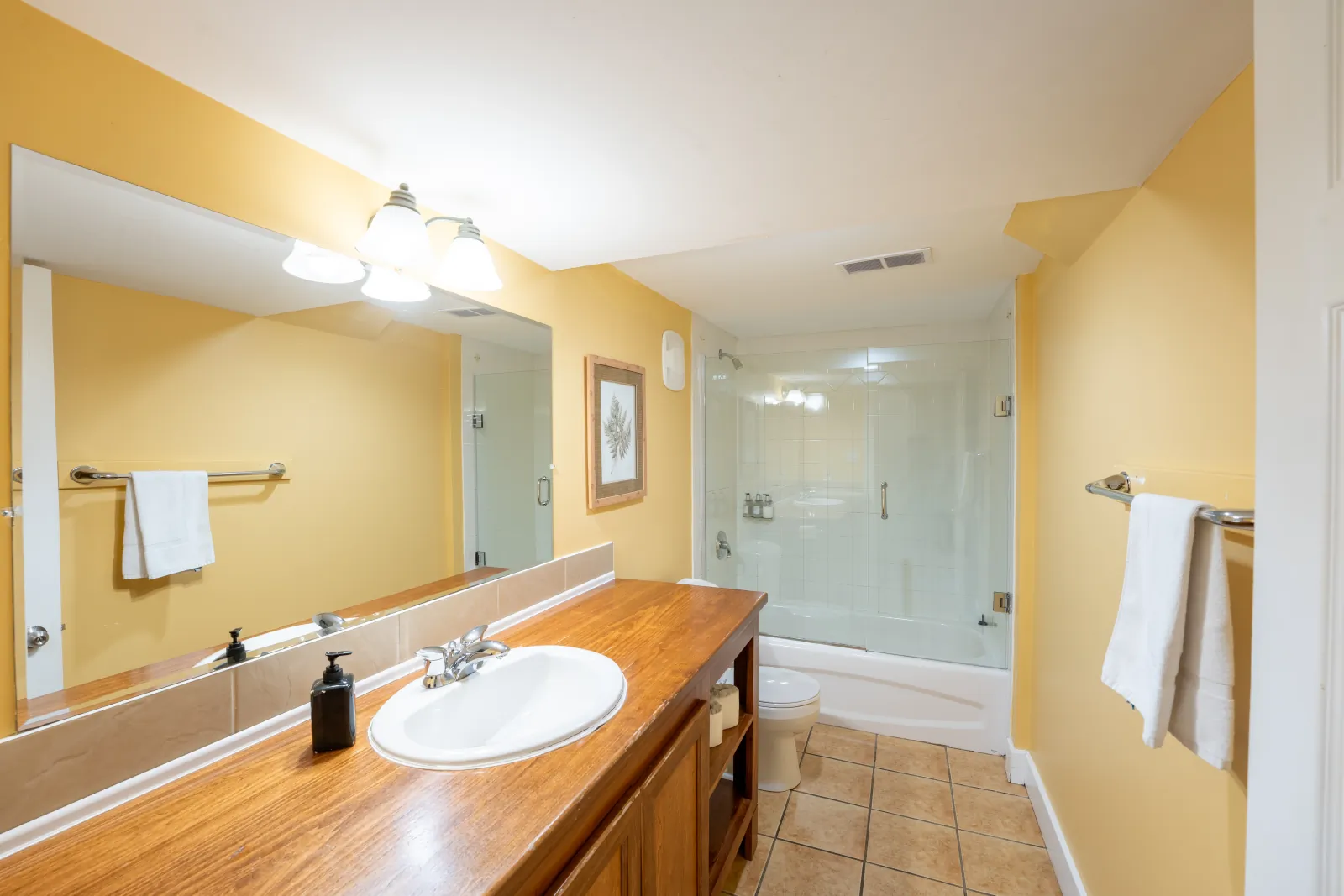 The Aurora gallery: long wood vanity with a glass-walled shower beyond