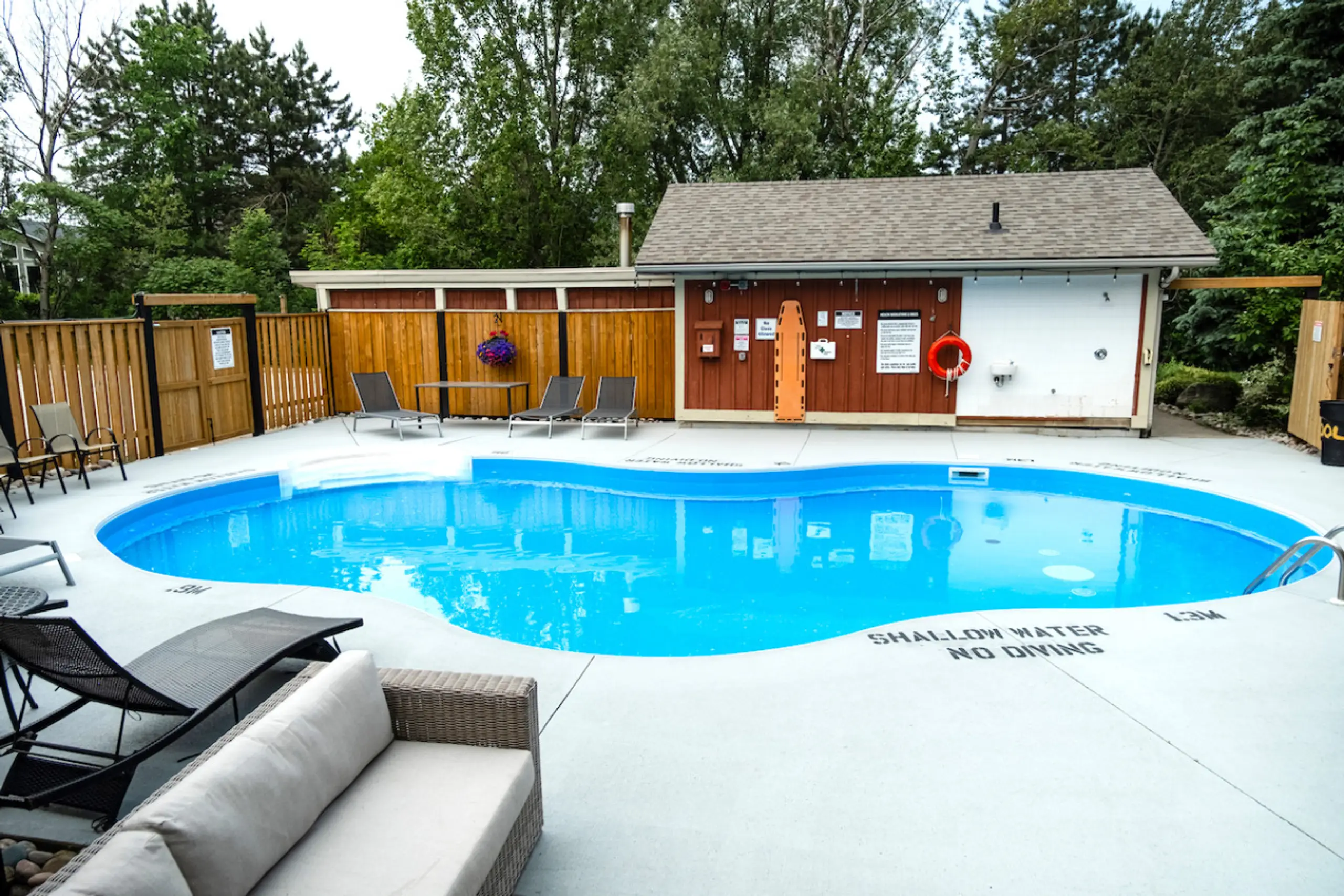 The Aurora - Image 13