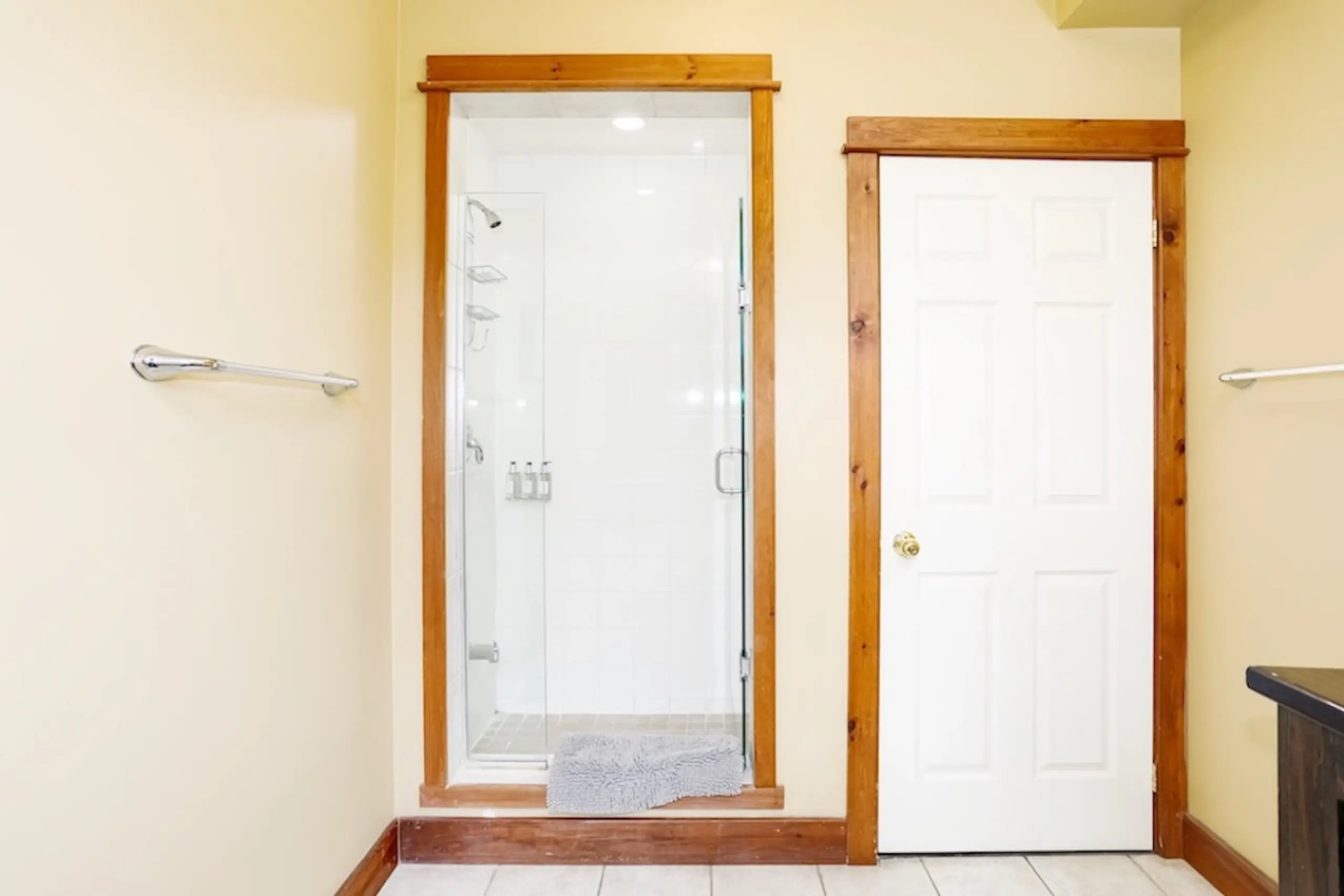 The Aurora - Image 24