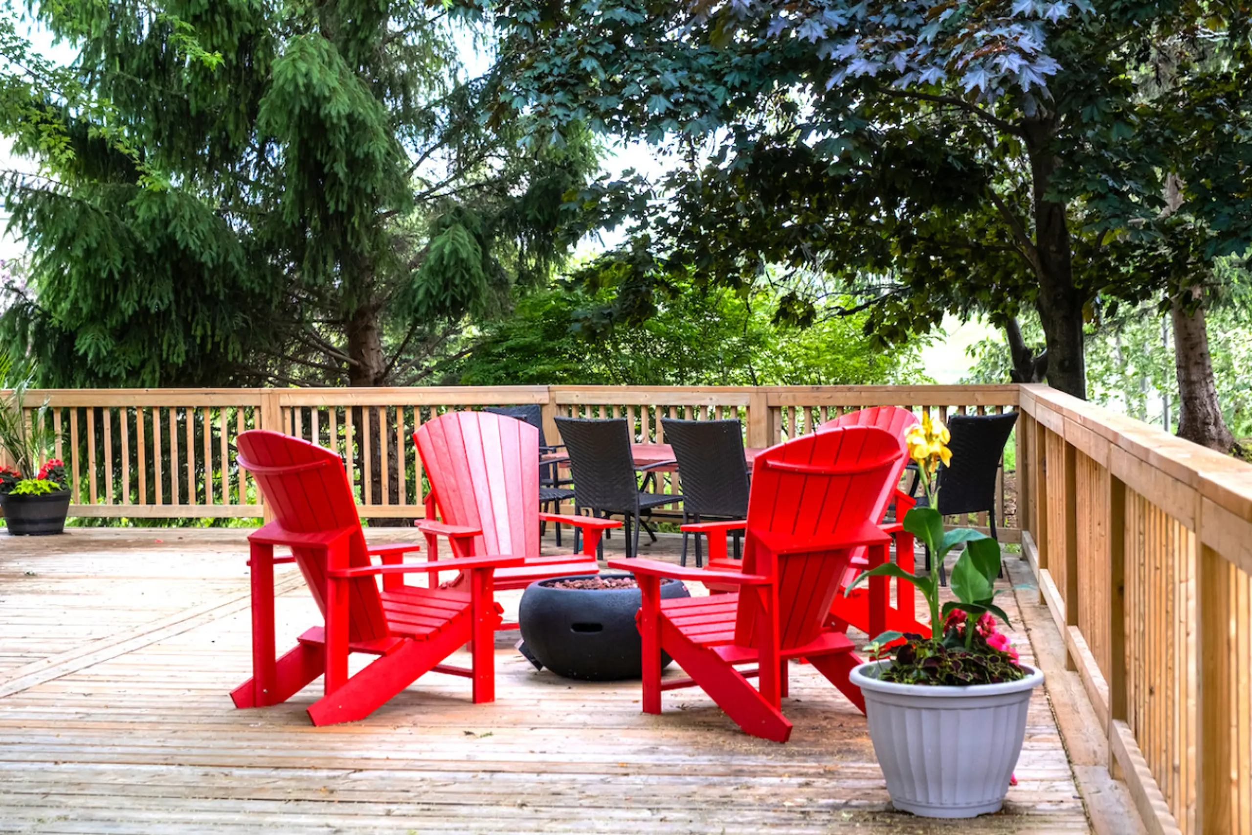 The Aurora - Image 26