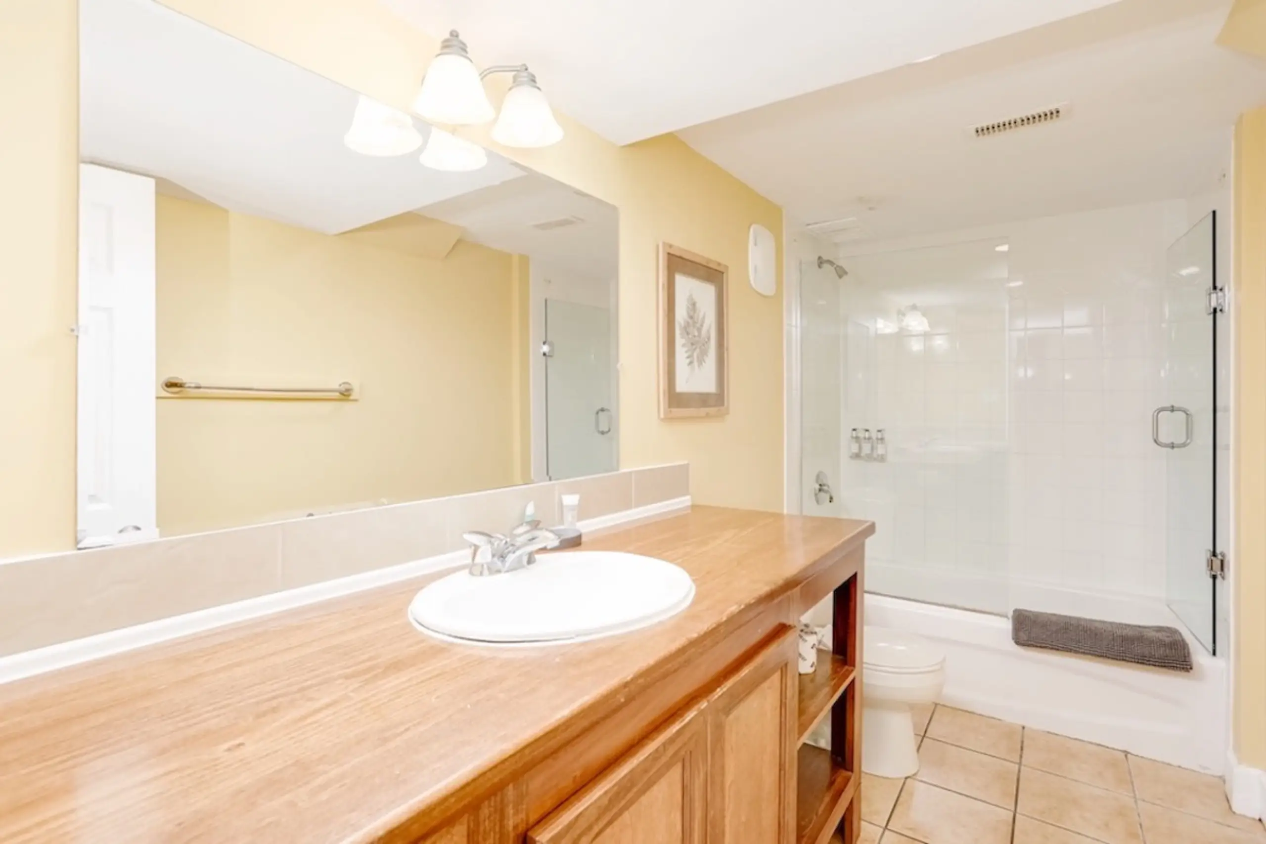 The Aurora - Image 22