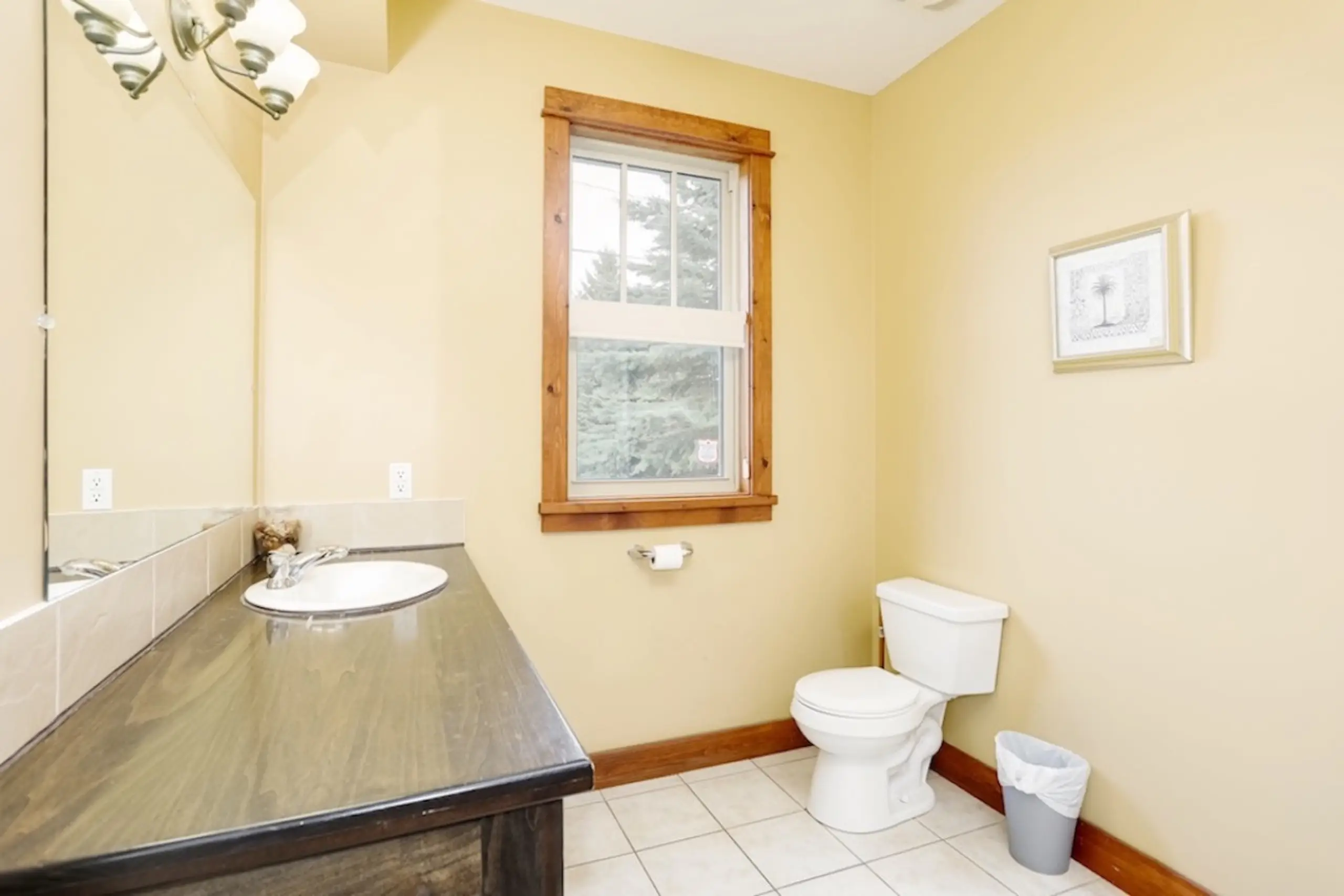 The Aurora - Image 23