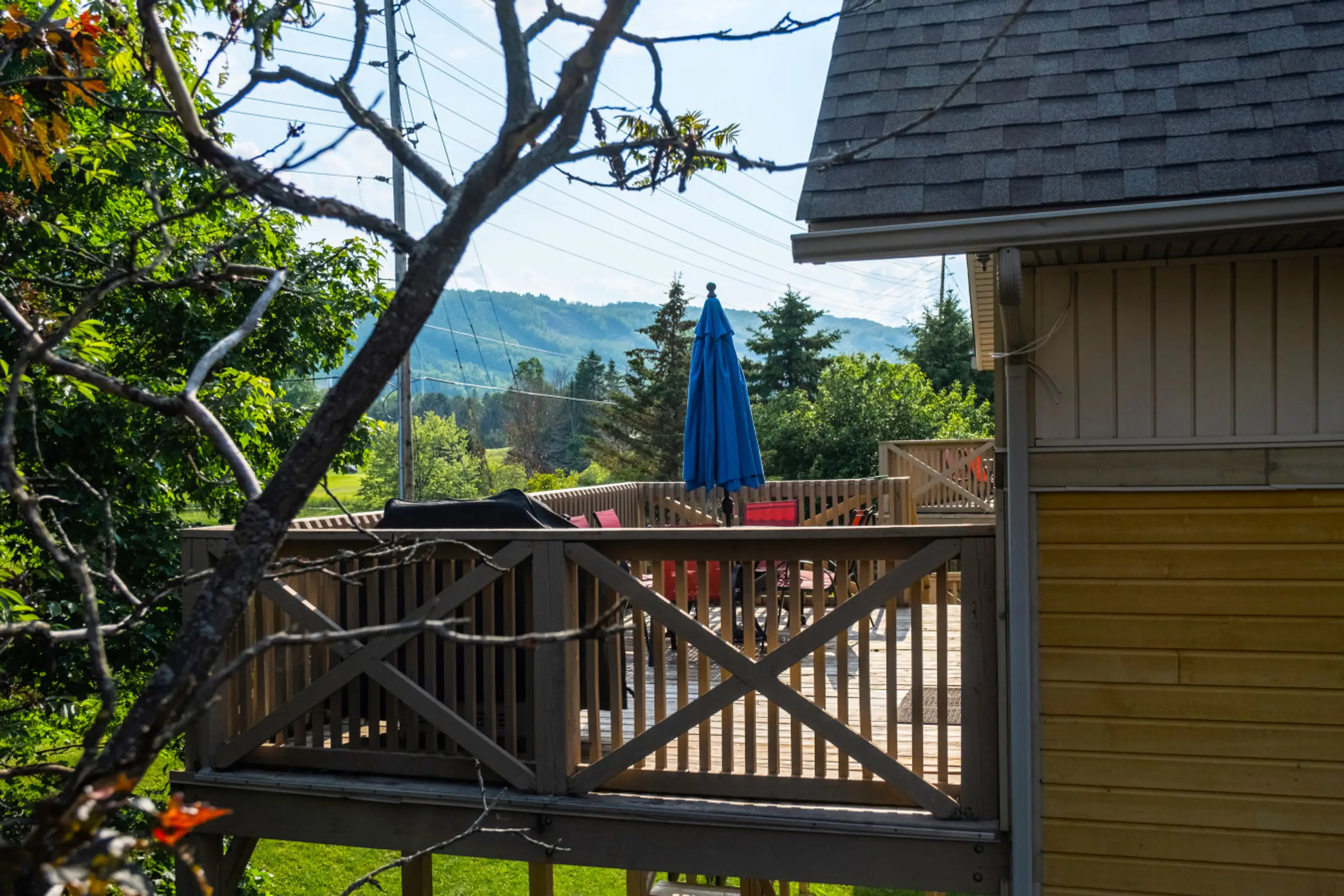 The Corona - Image 11