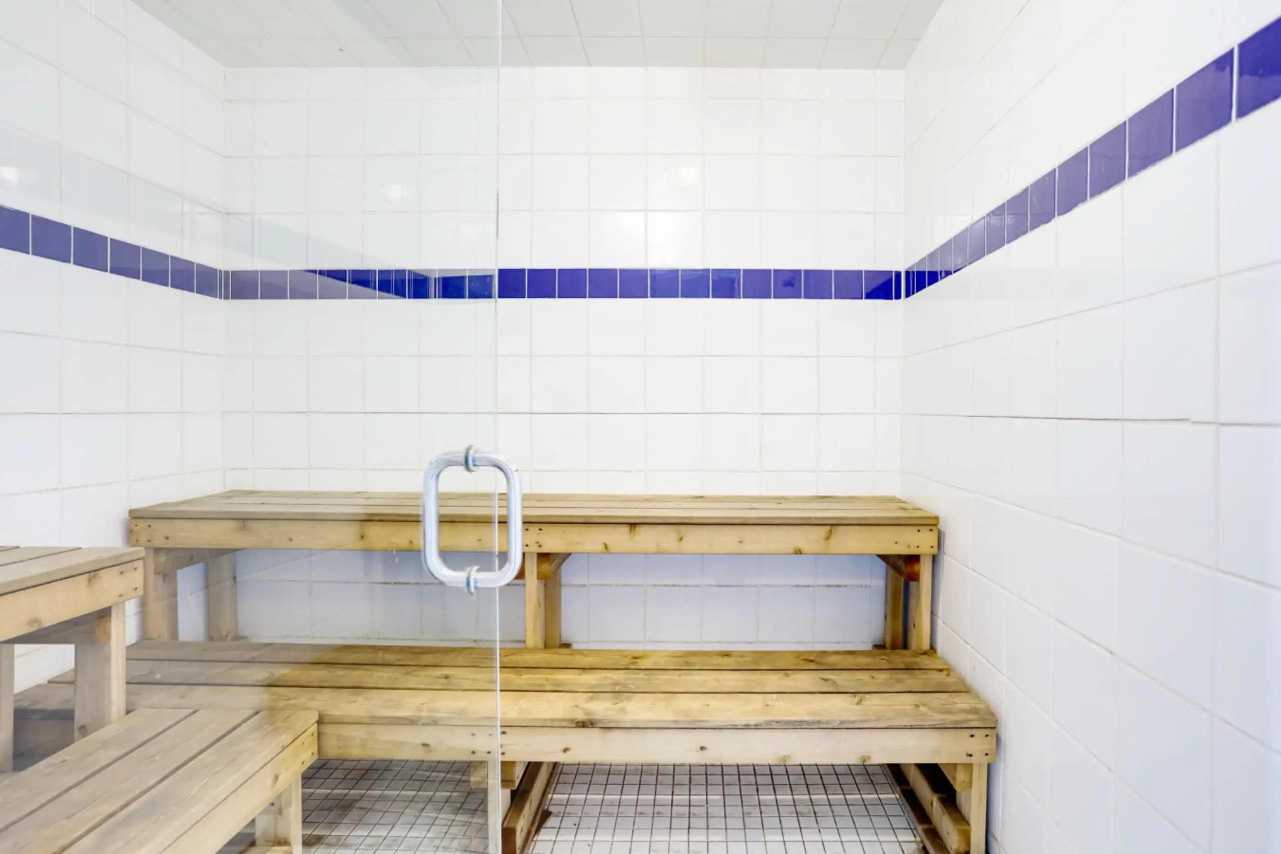 The Corona - Image 27