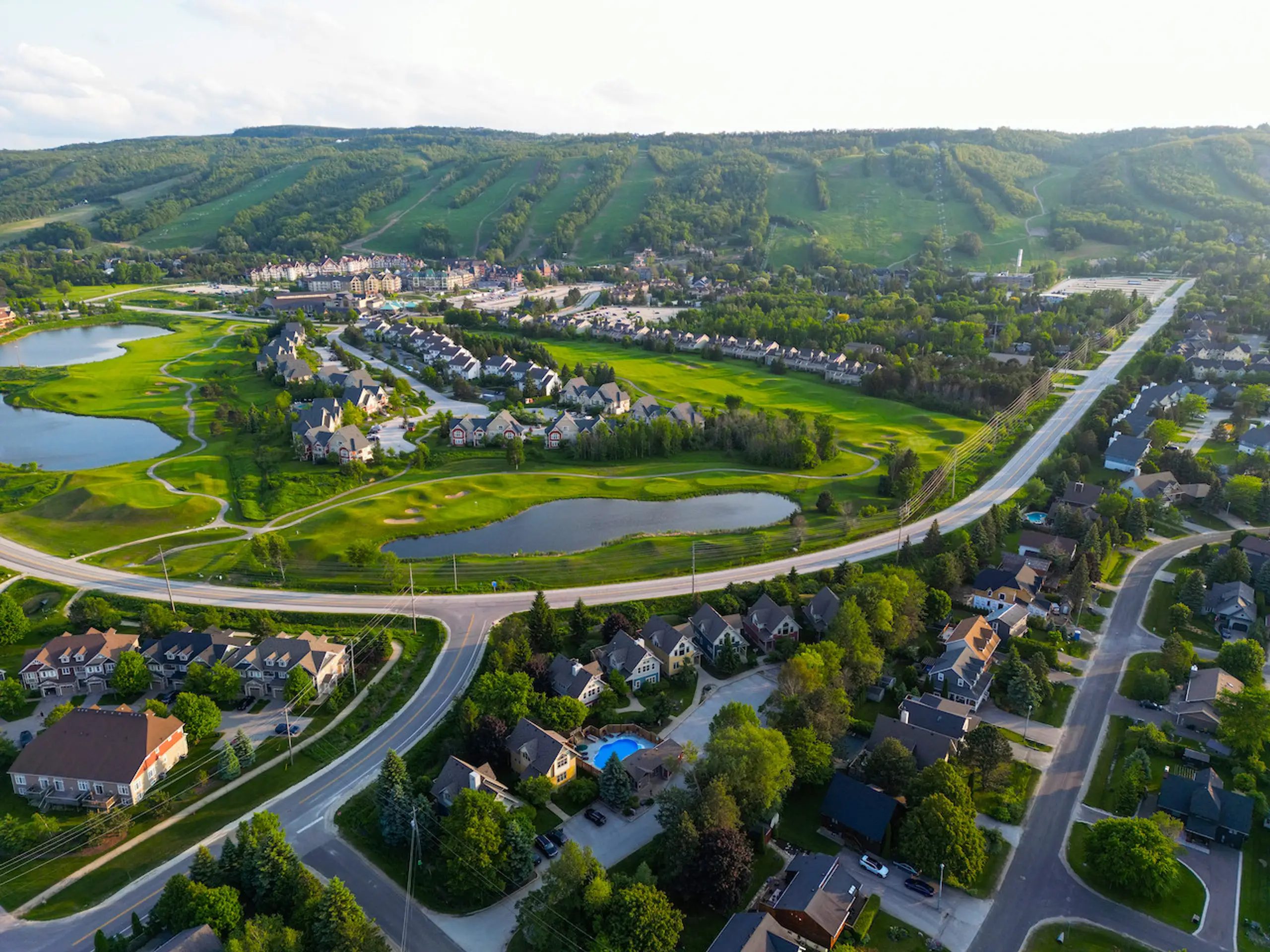 The Corona - Image 5