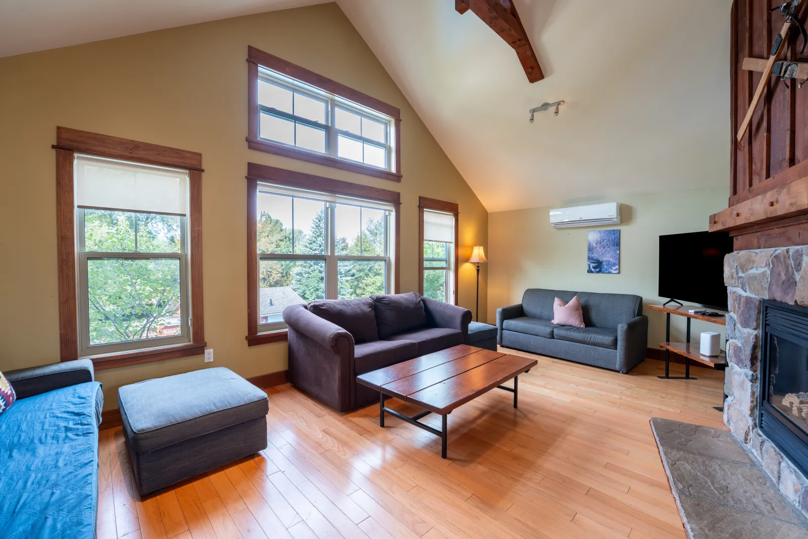 The Omega gallery: sofas and TV beside the stone fireplace