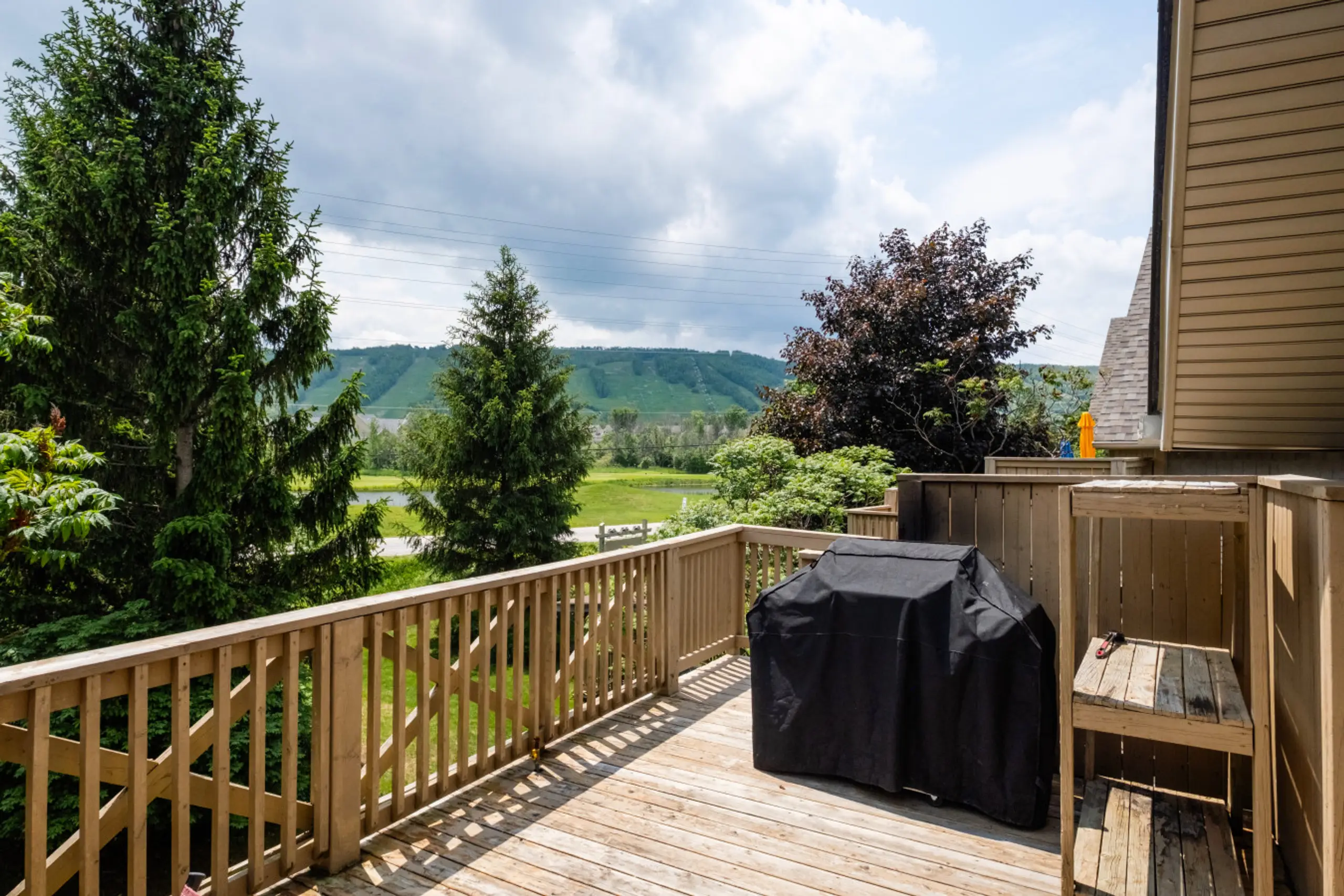 The Omega - Image 10