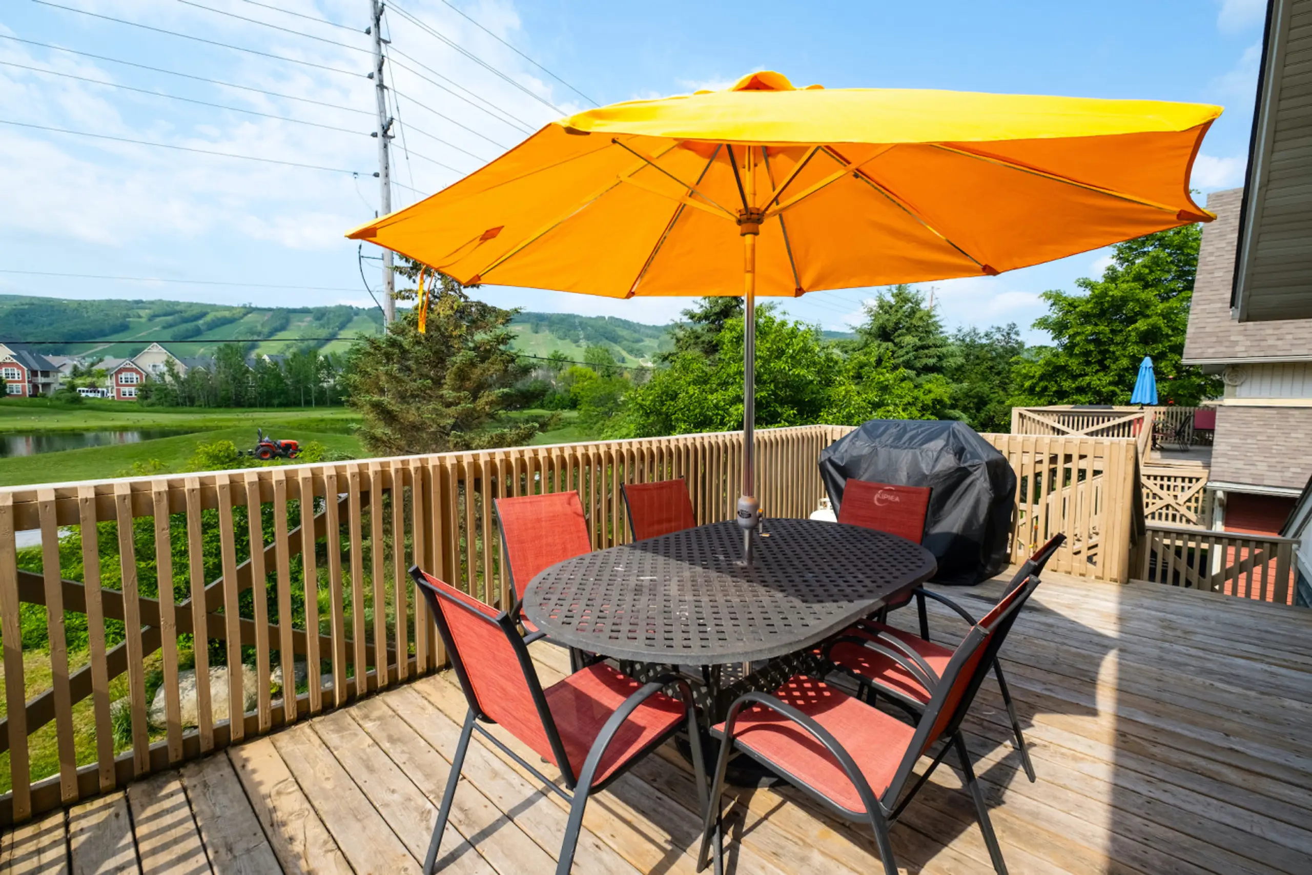 The Stella - Image 12