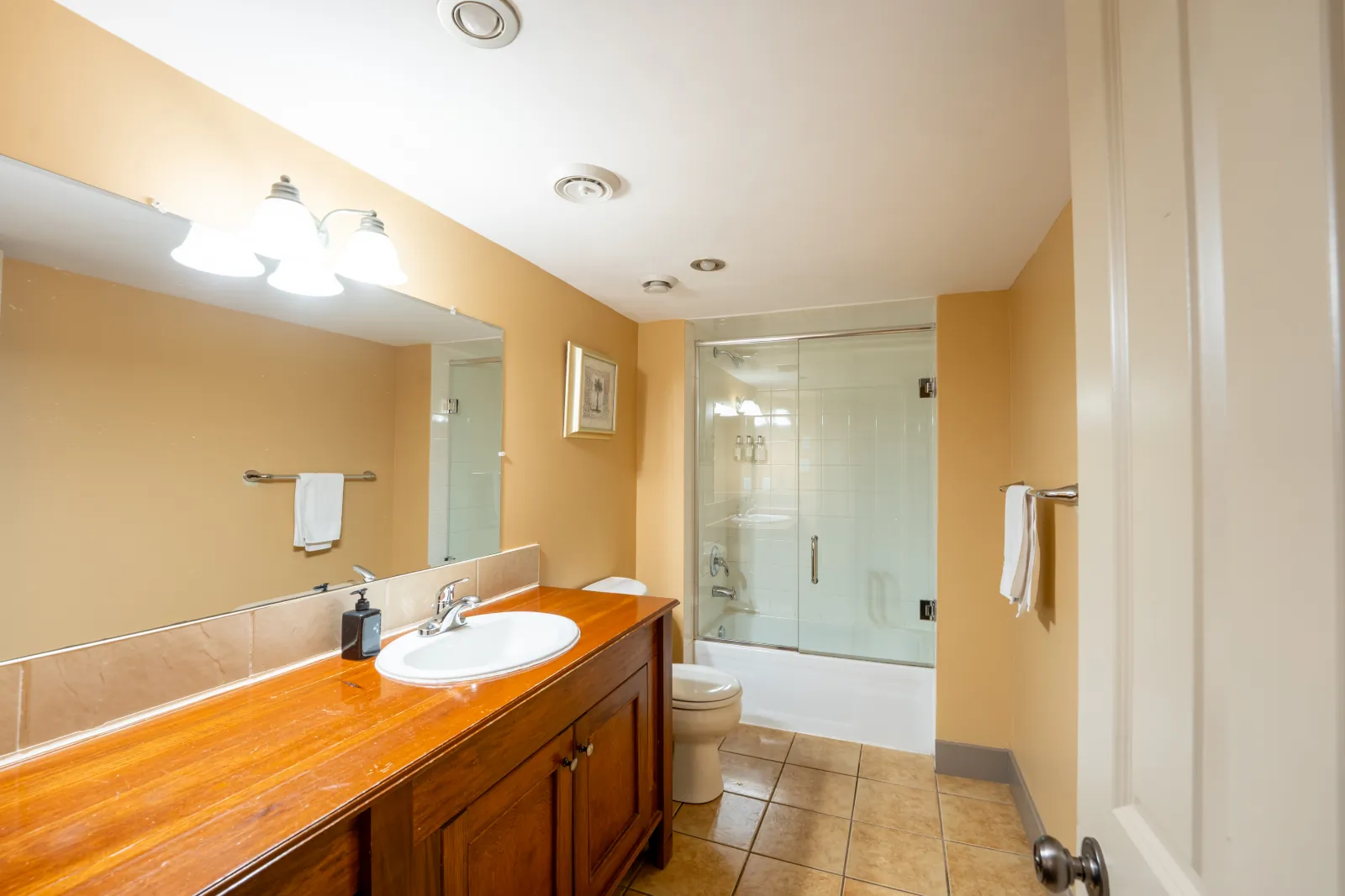 The Vista gallery: wood vanity and glass shower in the lower bathroom